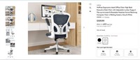 W9760  Ergonomic Mesh Office Chair, Grey & White