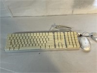 APPLE KEYBOARD AND MOUSE