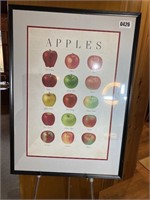 Framed Print Varieties of Apples, 24"W x 33"H