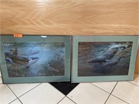 Lot of 2 framed whale prints. MTobson 1988