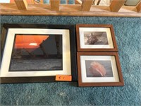 Lot of 3 framed beach and shell photos.