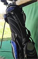 Golf clubs in golf bag w/