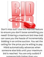 Max bid feature explained in description