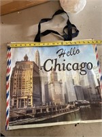 Chicago bag and clean stuffies.