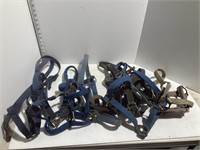 Lot of halters