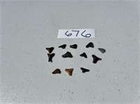 Collection of Small Sharks Teeth U241