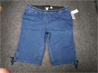 NWT Allison daley denim skimmer shorts 24w