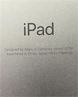 Apple IPad