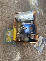 Box of various size bulbs