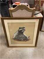 Raccoon pictures (31 by 33)