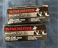 Winchester Ballistic 25-06