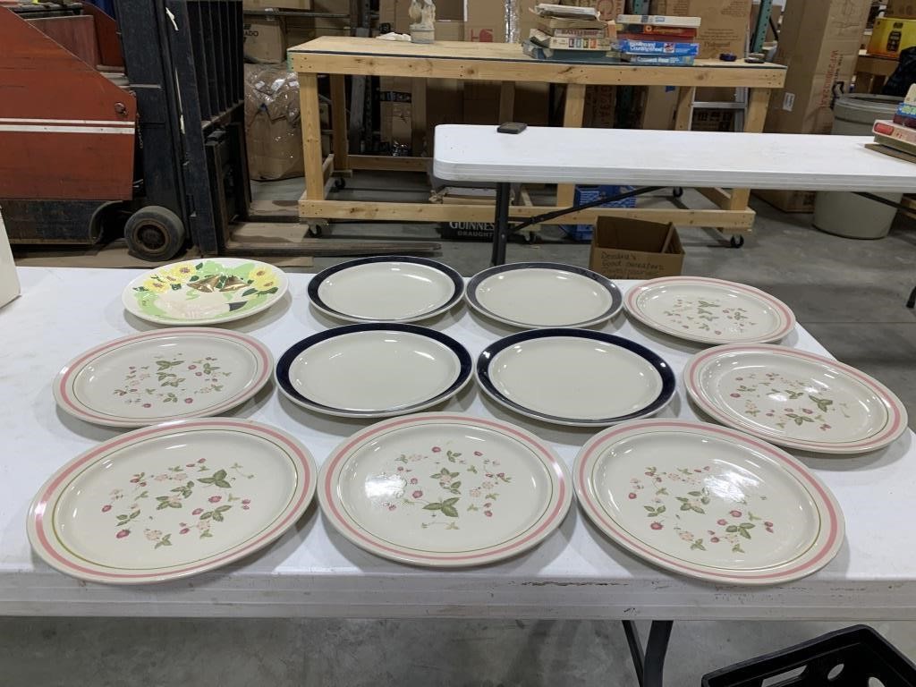 Decorative plate Dinner plates