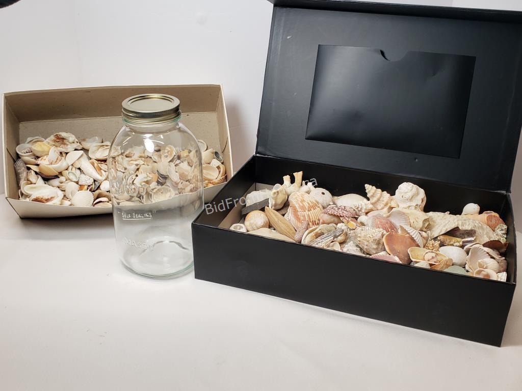 2 - BOXES OF SHELLS