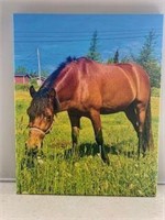 New - Sealed:  Horse on Canvas