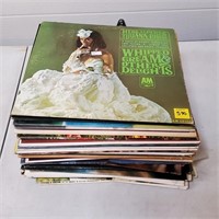 Lot of Assorted 33 Vinyl Records