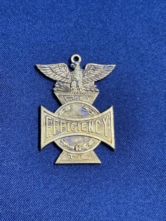Military efficiency Award Medal ribbon pinback