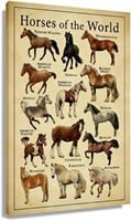 12"x18" Horse Poster Pictures Painting Canvas Art