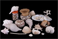 Sea Shell Decoratives