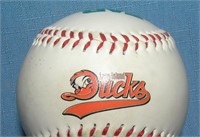 Long Island Ducks baseball team baseball