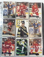 Binder of 324 Hockey Cards