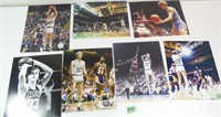 Collection of Larry Bird Photo's 8 x 10