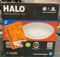Halo 4" Surface Mount Downlight