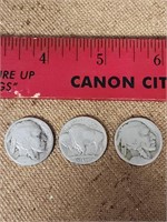 Lot of 3 coins, buffalo and Indian head nickels