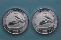2 - Silver .999 Rounds ( 3ozt TW )
