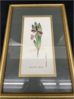 Victoria Porter’s Rosebud Orchid Framed Print