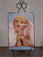 Puppy Pacifier Framed Portrait Picture