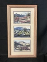 Framed Floral & Landscape Artist Signed Print