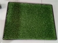 24x24 Pet Grass
