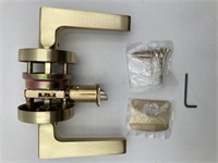 Polished Gold Door Handle/Lever