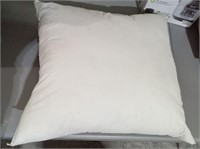 Misc Pillow Lot