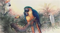 Richard E Williams Tropical Birds Signed Litho