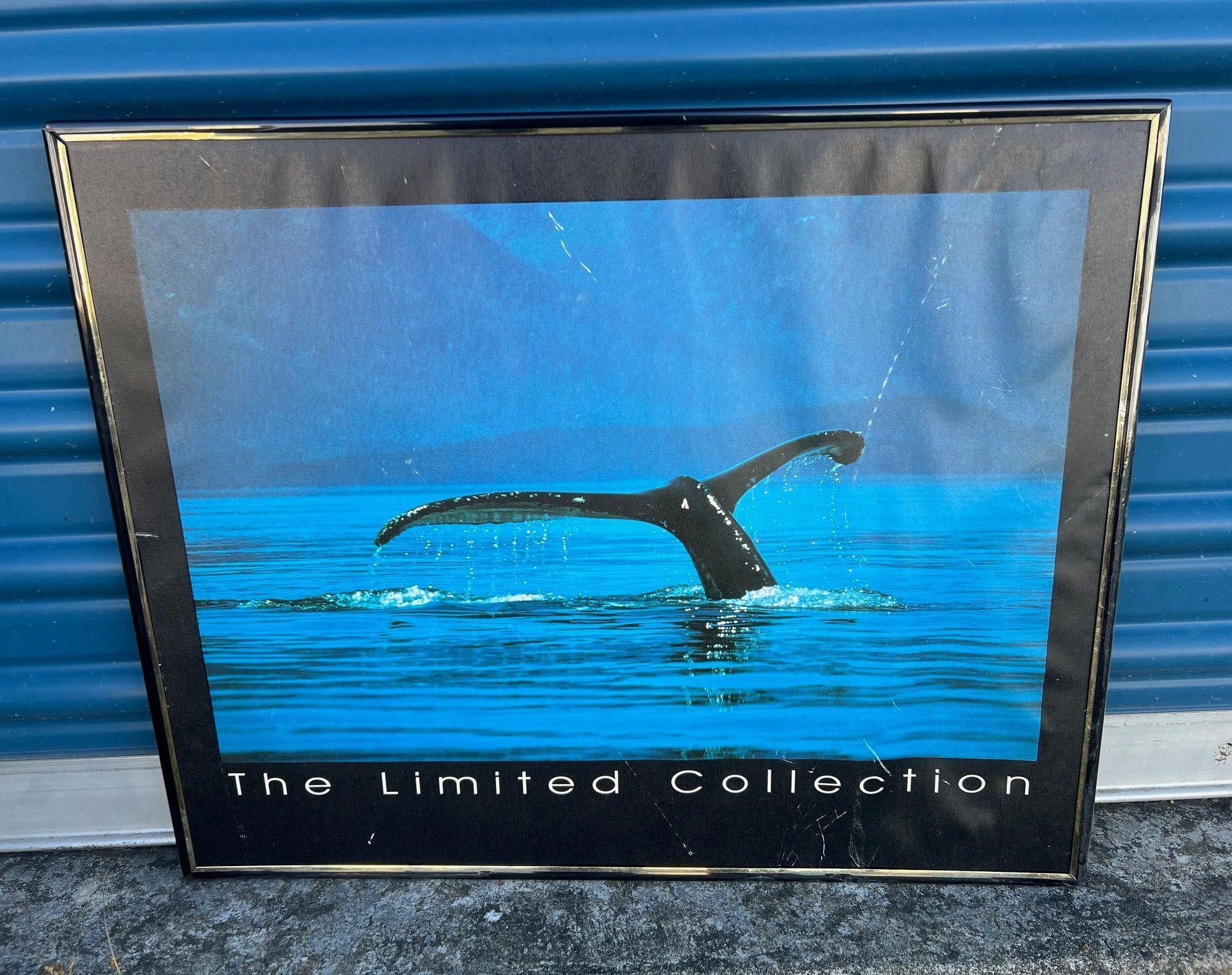 “THE LIMITED COLLECTION” FRAMED WHALE POSTER