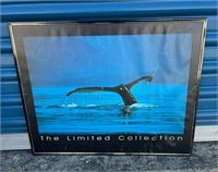 “THE LIMITED COLLECTION” FRAMED WHALE POSTER