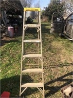 Werner 6' Aluminum Step Ladder