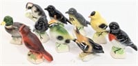 LOT Canadian Tender Leaf Tea Birds