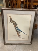 Richard Younger Scrub Jay Picture 26”x22”