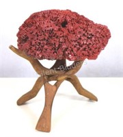 RARE - Natural Piece of Red Coral