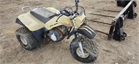 Yamaha 3 Wheeler