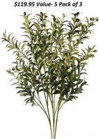 5 Pack of 3 Olive Branches