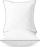 ACCENT HOME 2PK POLYESTER PILLOW 18X18