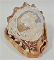 Carved Cameo Seashell