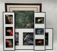 4 Framed Wildlife Nature Photo Prints