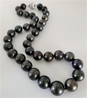 Tahitian cultured pearl 18" necklace APP $6145