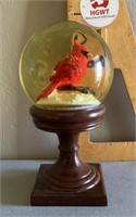 Cardinal snow globe