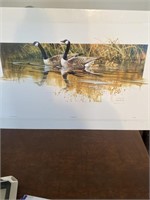 LUKE BUCK CANADA GEESE FAMILY PRINT