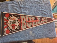 Chicago Bulls NBA World Champions 1993